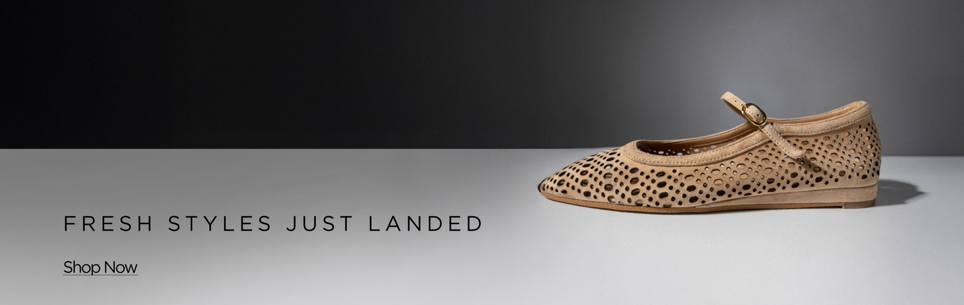 Fresh Styles Just Landed