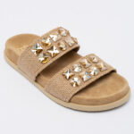 DILYS  Slides