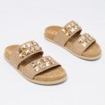DILYS  Slides