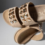 DILYS  Slides