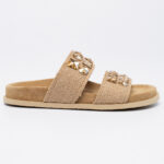 DILYS  Slides